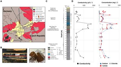 Enrichment of rare methanogenic Archaea shows their important ecological role in natural high-CO2 terrestrial subsurface environments